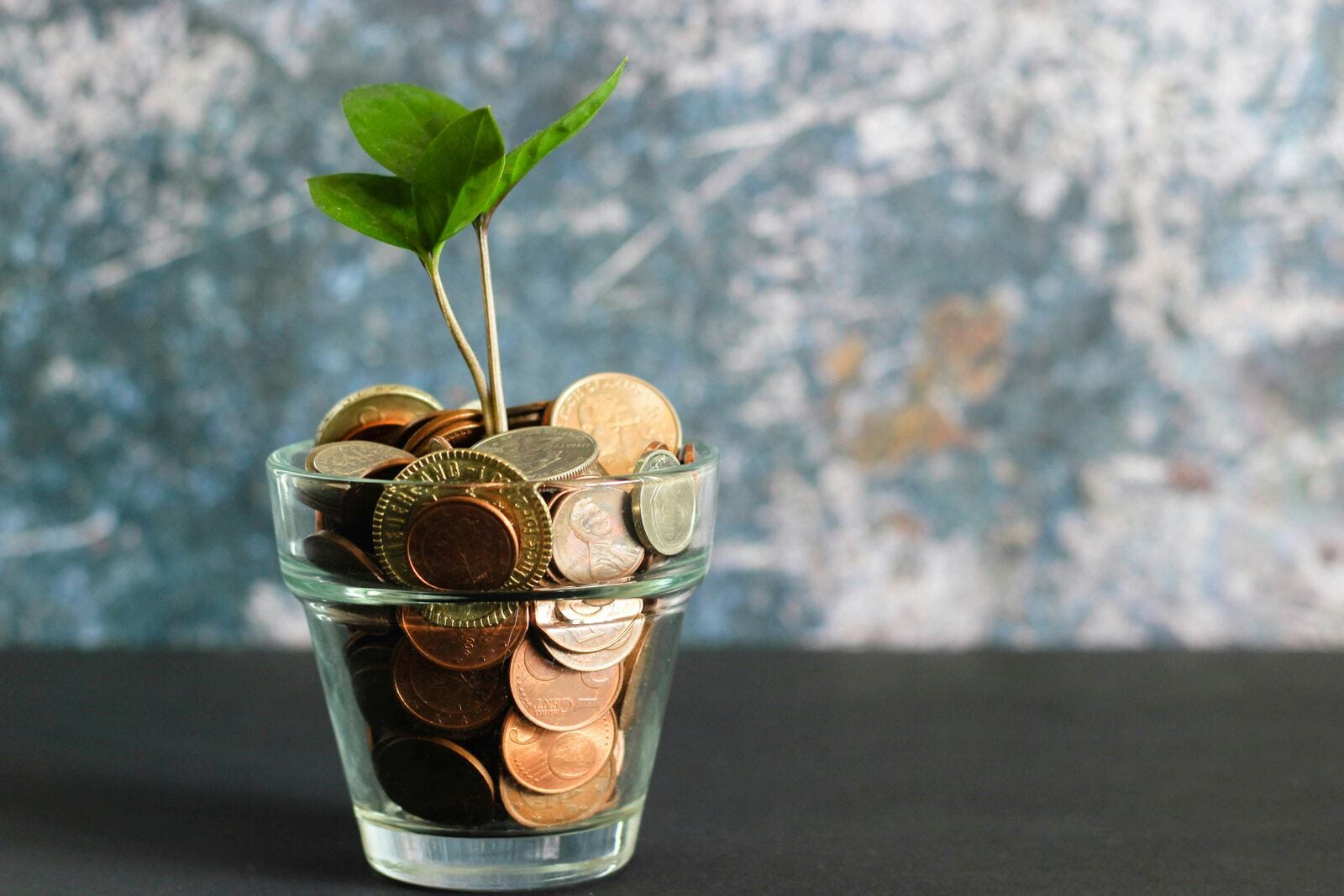 A small plant sprouting out of a glass jar filled with coins, representing steady growth of a business credit file